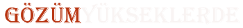 Yüksek Lisans Rehberiniz